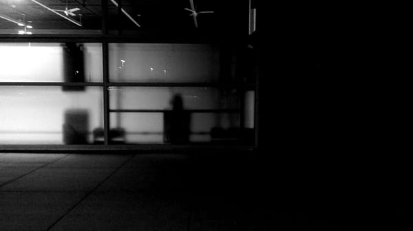 IMAG0528